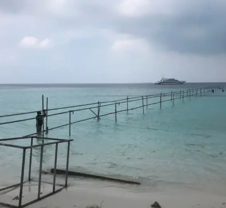 temp_jetty